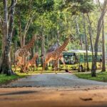 Guaranteed Departures: Vinpearl Safari & Countryside Pepper Farm - Final Thoughts