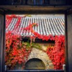 Gubei Water Town and Simatai Great Wall Private Day Tour - What’s Included and What to Keep in Mind