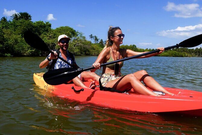 Guided Canoeing in Negombo - Who Will Love This Tour?