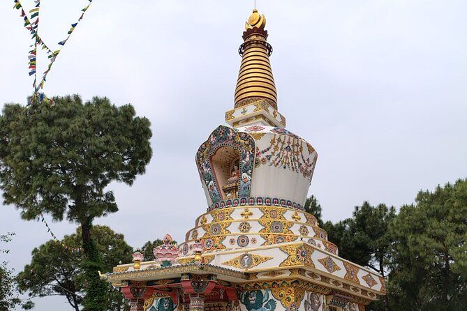 Guided Day Tour to Bir  Monasteries,Temple & Tea Garden Visit - Who Will Enjoy This Tour?