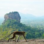 Guided Hike & Picnic with an Amazing View on Pidurangala Rock - Why This Tour Is Worth It