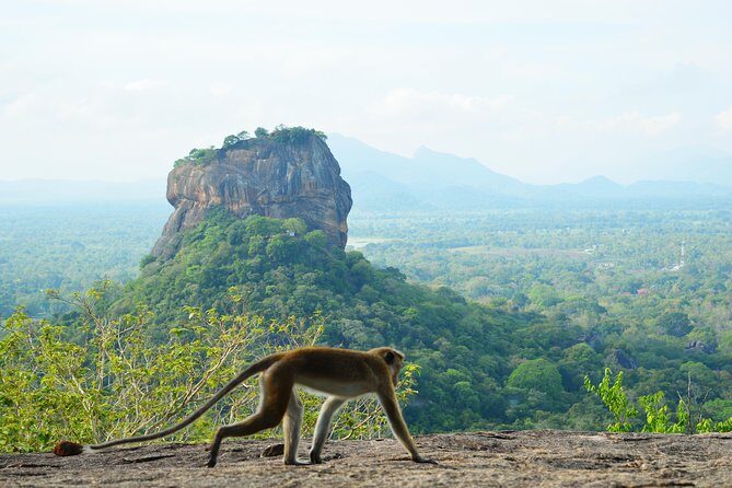 Guided Hike & Picnic with an Amazing View on Pidurangala Rock - Why This Tour Is Worth It