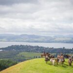 Guided Horse Trekking from Rotorua - What to Expect on the Tour