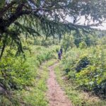 Guided Shioya Maruyama Hike with Scenic Views and Snacks - An In-Depth Look at the Shioya Maruyama Hike