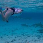 Guided Snorkeling and Relaxation on the Motu Ofetaro in Raiatea - FAQ
