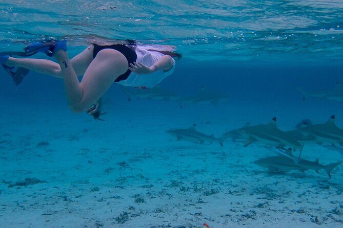 Guided Snorkeling and Relaxation on the Motu Ofetaro in Raiatea - FAQ