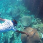 Guided Snorkeling Trip - The Real Experience: Authentic Insights from Reviewers