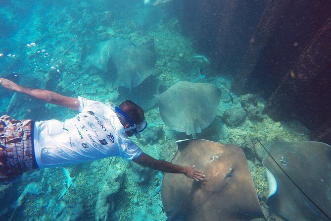 Guided Snorkeling Trip - The Real Experience: Authentic Insights from Reviewers