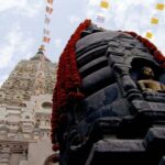 Guided Tour of Bodhgaya Temples and Buddha Sites - The Sum Up