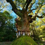 Guided Tour of Historic Atsuta Shrine and Sword Museum - Final Thoughts