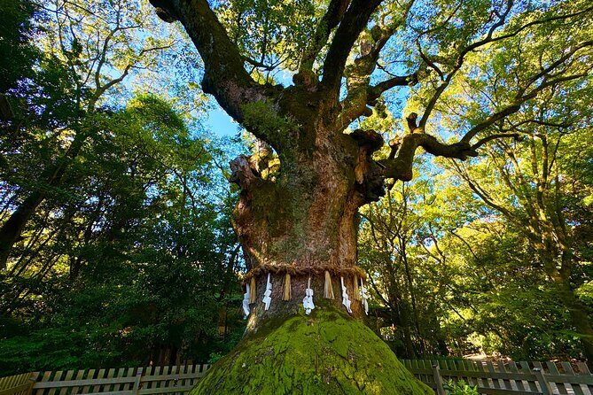 Guided Tour of Historic Atsuta Shrine and Sword Museum - Final Thoughts