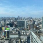 Guided Tour of Some Attractions in Osaka by Private Car - What Makes This Tour Stand Out?