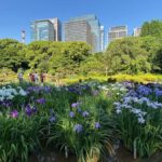 Guided tour of Tokyo: Ginza, Imperial Palace Gardens, and Odaiba - Detailed Breakdown of the Itinerary