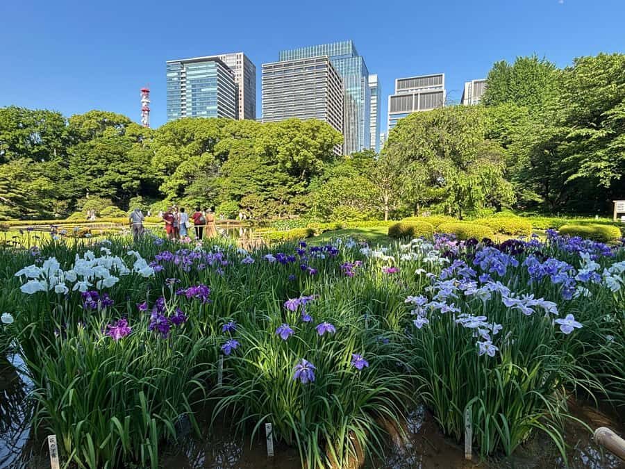 Guided tour of Tokyo: Ginza, Imperial Palace Gardens, and Odaiba - Detailed Breakdown of the Itinerary