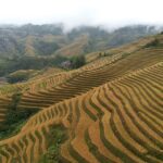 Guilin: Day tour of Longji Rice Terraces and Yangshuo - Who Will Benefit Most from This Tour?