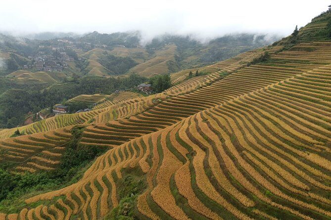Guilin: Day tour of Longji Rice Terraces and Yangshuo - Who Will Benefit Most from This Tour?