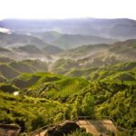Guilin: Longji Rice Terraces and Huangluo Yao Village Tour - Exploring Ethnic Minorities and Cultural Heritage