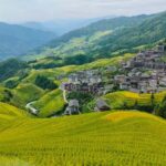 Guilin: Longji Terraced Fields & Rice Cake Tour - Who Will Enjoy This Tour?