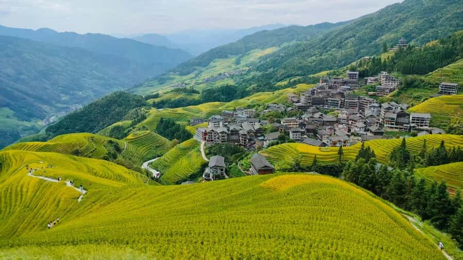Guilin: Longji Terraced Fields & Rice Cake Tour - Who Will Enjoy This Tour?