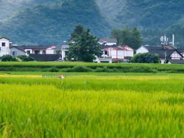 Guiyang: Maling River Gorge & Wanfenglin 2-Day Tour - What’s Included and How It Works