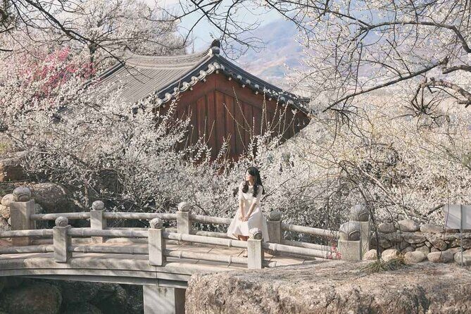 Gwangyang Plum Blossom & Gurye Sansuyu Festival Tour from Busan - Transportation and Comfort