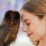 Gyeonggi Begonia Bird Park Ticket - Pricing and Value: Is It Worth It?