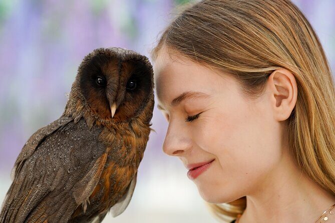 Gyeonggi Begonia Bird Park Ticket - Pricing and Value: Is It Worth It?