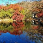Gyeongju Full-Day Guided Tour from Seoul - The Practical Side: What to Expect