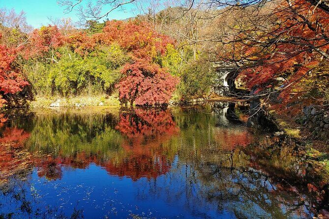 Gyeongju Full-Day Guided Tour from Seoul - The Practical Side: What to Expect