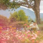 Gyeongju Maple Tour from Busan - Evaluating the Cost and Overall Value