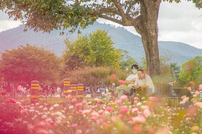 Gyeongju Maple Tour from Busan - Evaluating the Cost and Overall Value