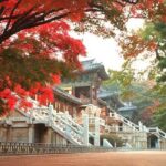 Gyeongju ONE-DAY Highlights for PRIVATE CRUISE PASSENGER'S - What Makes This Tour Stand Out