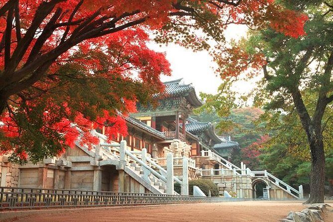 Gyeongju ONE-DAY Highlights for PRIVATE CRUISE PASSENGER'S - What Makes This Tour Stand Out