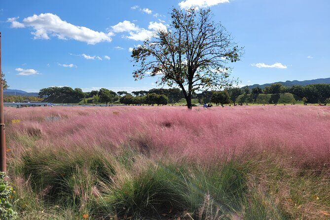 Gyeongju UNESCO Heritage Private Half-Day Tour - Transportation and Timing