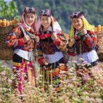 Ha Giang Discovery Tour 3 Days from Hanoi - Practical Considerations