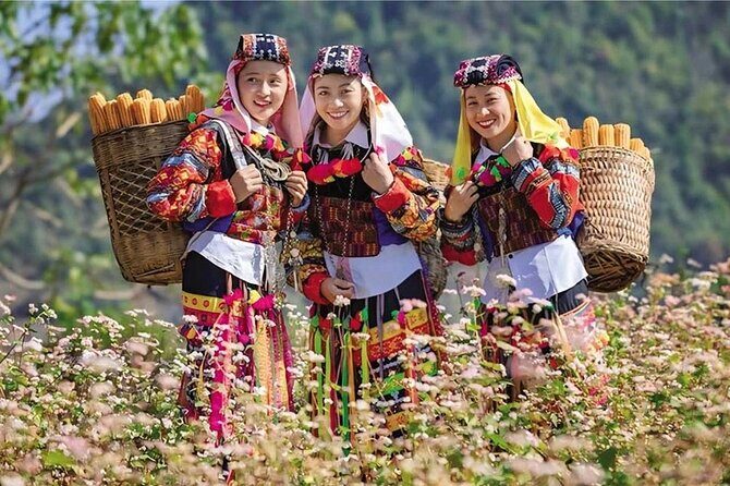 Ha Giang Discovery Tour 3 Days from Hanoi - Practical Considerations