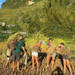 Ha Giang Loop: 3-Day Small Group from Hanoi (All Inclusive) - Day 2: Mountain Passes, Villages, and Cultural Gems