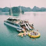 Ha Long Bay 1 day trip with Luxury Catamaran Cruise - What’s Included and What’s Not