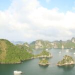 Ha Long Bay Cruise Day Tour - best selling: Kayaking, Swimming, hiking & Lunch - Food and Drinks: Savoring Local Flavors