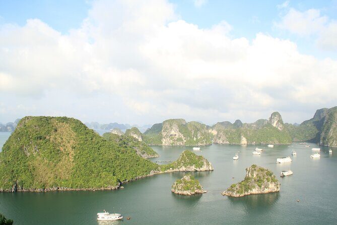 Ha Long Bay Cruise Day Tour - best selling: Kayaking, Swimming, hiking & Lunch - Food and Drinks: Savoring Local Flavors