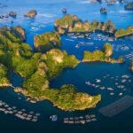 Ha Long Bay Cruise - Swimming, Meal, Kayaking In 1 Day - Authentic Insights from Reviewers