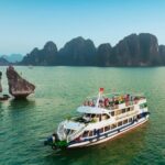 Ha Long Deluxe Day Cruise with Set Menu Lunch, Kayaking & Party - Detailed Day-by-Day Itinerary Breakdown