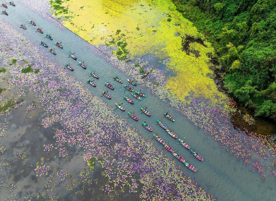 Ha Noi: Explore Ninh Binh Nature in One Day Tour - The Experience in Detail