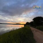 Habarana & Sigiriya: Night Safari to see nocturnal wildlife - What You Can Expect from This Night Safari