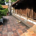 Hai Phong Highlights: Cultural & Historical Walking Tour - Who Is This Tour Best For?