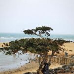 Haikou Local Life: Natural Volcano, Wetlands & Old Markets - Practical details and overall value