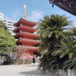 Hakata Old Town Guided Walking Tour in Fukuoka - Key Points