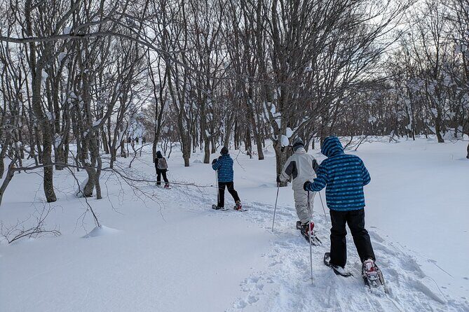 Hakkoda Area Snowshoe Adventure Tour - Detailed Breakdown of the Itinerary