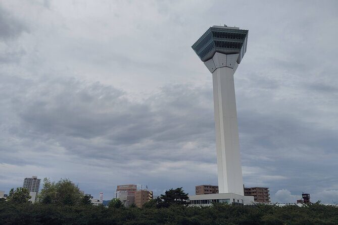 Hakodate: Goryokaku Star Fort & Tower Guided History Tour - The Sum Up: Who Should Book This Tour?