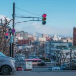 Hakodate Highlights 5 Hours Private Shore Excursion - Authentic insights from past travelers